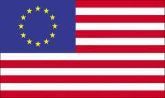 drapeauesa.jpg, nov. 2010 drapeauesa.jpg