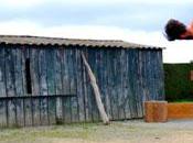 Soirée avec spectacles Montberon