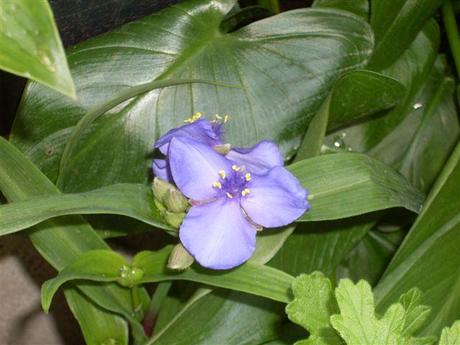 du vent, dans mes voiles