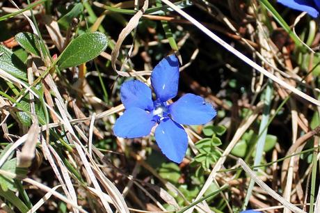Le Mont Aiguille sous toutes les coutures