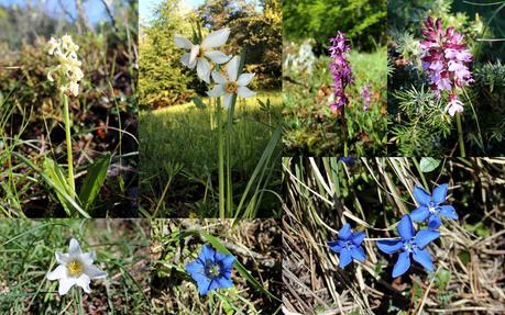 Le Mont Aiguille sous toutes les coutures