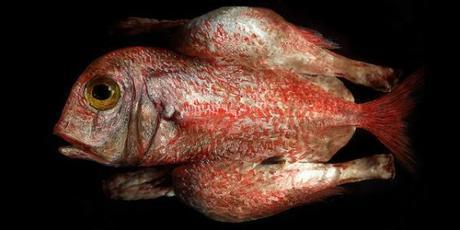 Sculptures du mois n°13 jpeg-600x300_Chicken Panic