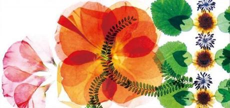 Sculptures du mois n°13 nishinihon-japanese-funeral-service-ad-5-600x283