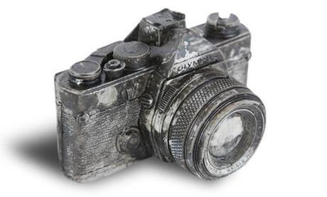 Sculptures du mois n°13 fossiles-2