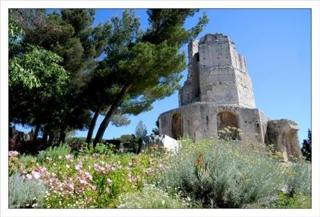 Nîmes, Jardins de la Fontaine, Garde républicaine, parcs, plante, fleurs, arbres, chevaux