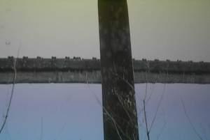 Les orties de la vieille cimenterie. SONY DSC