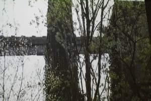 Les orties de la vieille cimenterie. SONY DSC