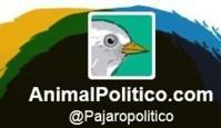Capture d'écran Twitter Animal Politico