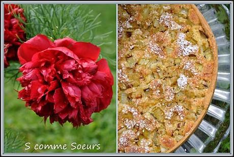 ornanstarterhubarbe1