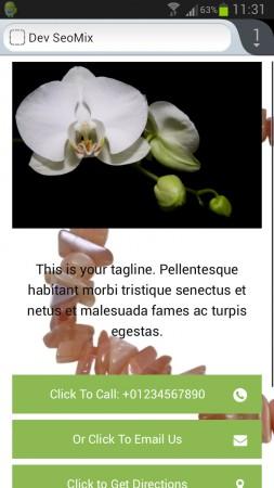 Exemple WP mobile Splash Page