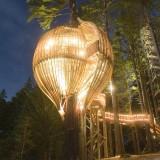 RedWood TreeHouse 09