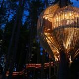 RedWood TreeHouse 05