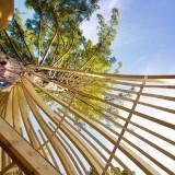 RedWood TreeHouse 07