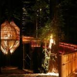 RedWood TreeHouse 04