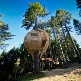 RedWood TreeHouse 06