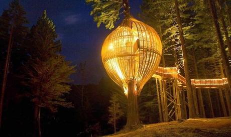 RedWood TreeHouse