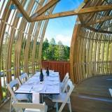 RedWood TreeHouse 08