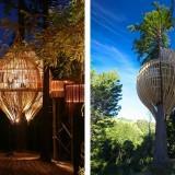RedWood TreeHouse 02