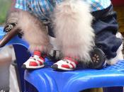 mode chiens chaussons