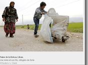 Liban CICR poursuit action d’aide réfugiés syriens