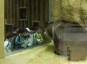 créateur débats prononce