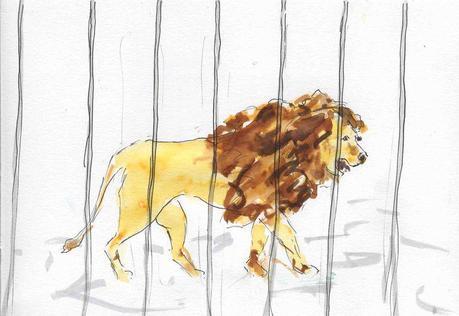126) tourner lion en cage 