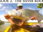 Silver Rocket vidéo fait envie