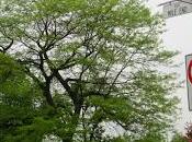 Gary Carter souvenirs d'adolescence