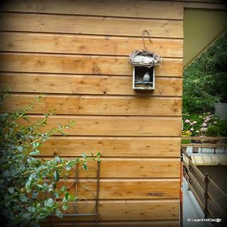 Gobe mouche 2013 ! (1)