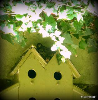 Gobe mouche 2013 ! (1)