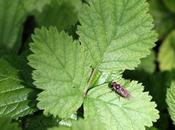 Tribulations d'un Maitre Conf' Stage