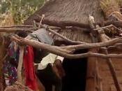 Passer l’urgence développement, fait comment Découvrez-le vidéo