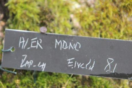 acer mono étiq gb 18 mai 2013 097 (1).jpg