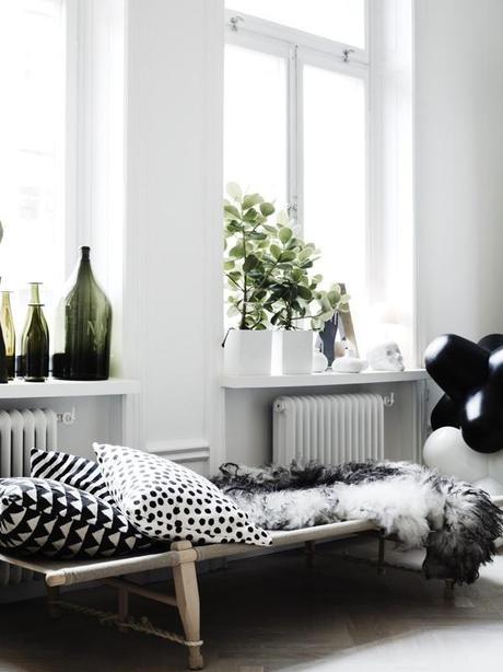 Focus : Comment décorer avec des plantes d'intérieur ? | www.decocrush.fr