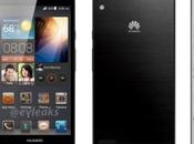 Huawei Ascend fuite