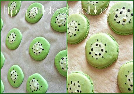 collage macarons kiwi