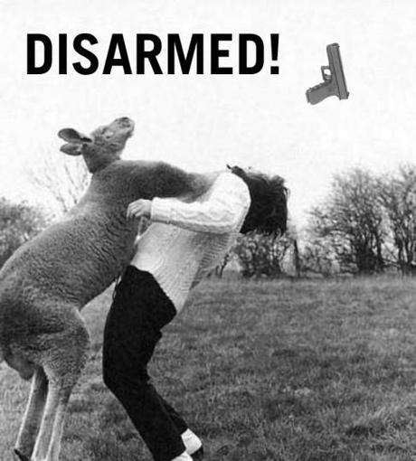 kangaroo-punch-glock-disarmed