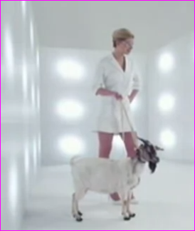 Nadège, Benjamin et une chèvre dans le nouveau teaser de Secret Story 7 !
