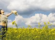 Quelques rappels orthographe grammaire pour plus faire d’erreur règles difficiles