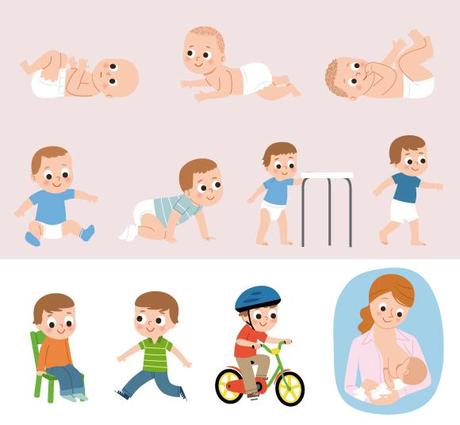 évolution de bébé 