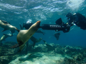 îles Galápagos bientôt dans Street View