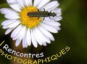 Rencontres photographiques d’Esvres Indre Juin 2013