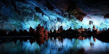 EVASION : La Nouvelle-ZĂŠlande et ses grottes de vers bioluminescents