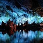 EVASION : La Nouvelle-Zélande et ses grottes de vers bioluminescents