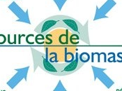 Nucleaire contre tous ??(43): transition énergétique Promesses biomasse?