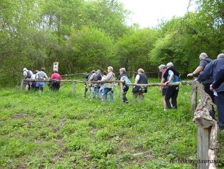 MONTENACH(57)-Les Richesses d'un Patrimoine Naturel