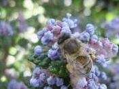 coin verdure bleu comme orage