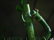 Green Liner Bo.Ho adopté adoré