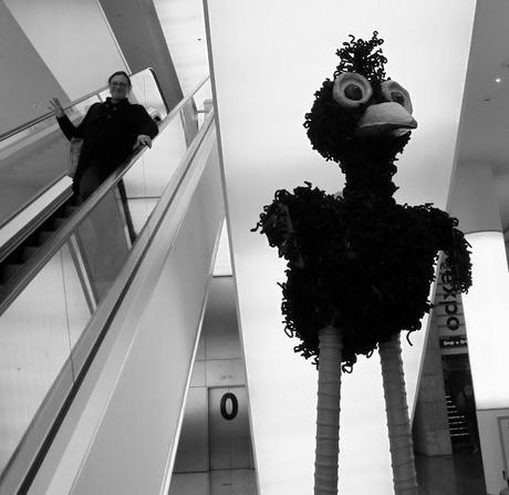 perspectives hollandaises