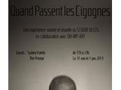 Quand passent cigognes